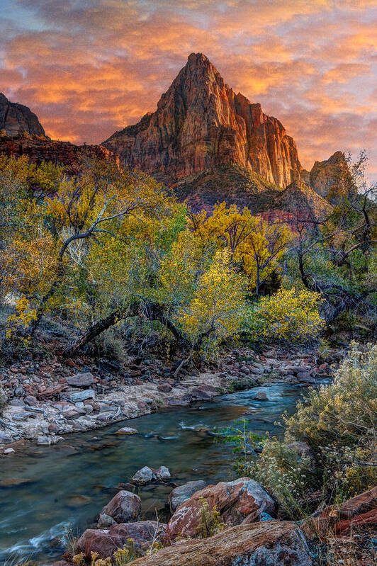 Zion National Park Poster featuring the photograph Zion National Park #12 by Douglas Pulsipher