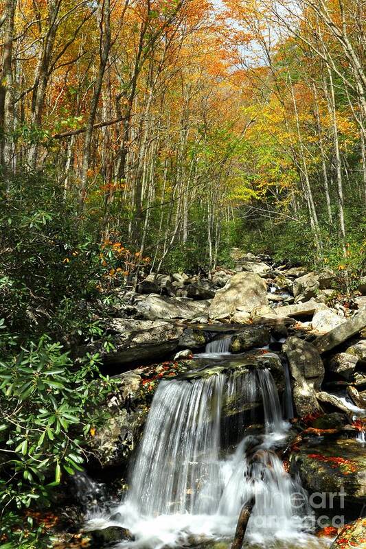 North Carolina Poster featuring the photograph Autumn Falls by Benanne Stiens