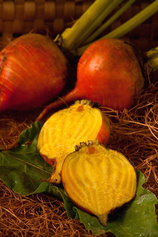 Vegatables Poster featuring the photograph Golden Turnips by Matthew Pace