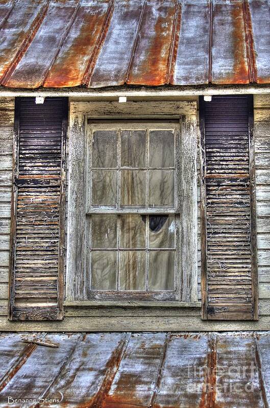 Rusted Tin Roof Poster featuring the photograph I'm Watching You by Benanne Stiens