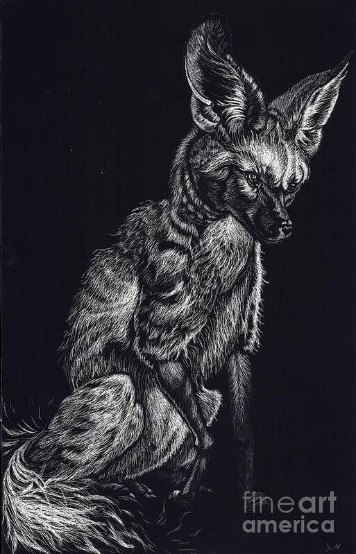 Bat Eared Fox Poster featuring the drawing Mr. Big Ears by Yenni Harrison