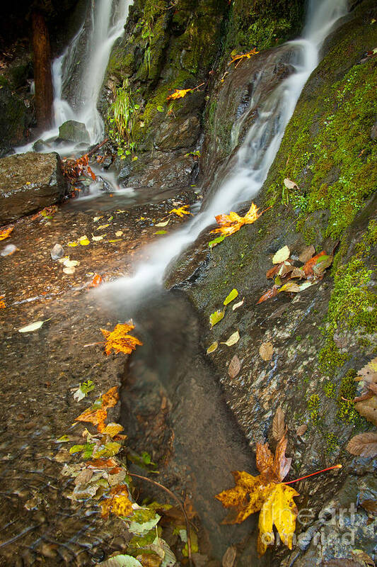 Mt. Baker National Park Poster featuring the photograph Autumn Falls by Idaho Scenic Images Linda Lantzy