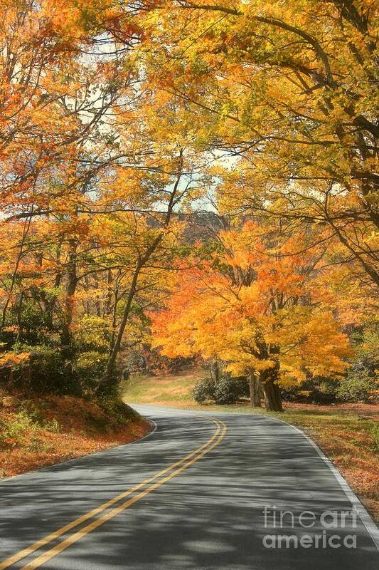 Blue Ridge Parkway Poster featuring the photograph Autumn on the Parkway by Benanne Stiens