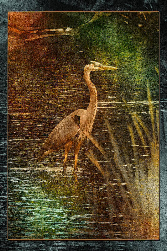 Heron Poster featuring the photograph Impressionistic Heron by WB Johnston