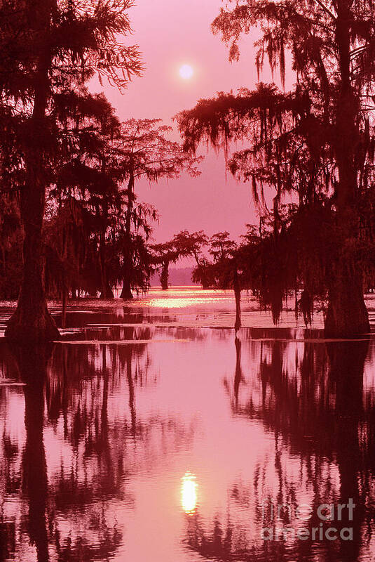 North America Poster featuring the photograph Sunset on the Bayou Atchafalaya Basin Louisiana by Dave Welling