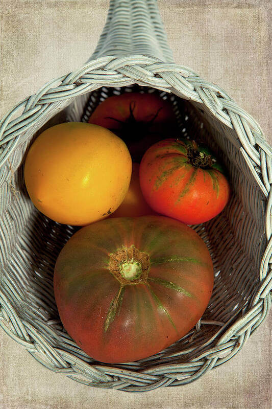 Tomatoes Poster featuring the photograph Tomatoes in a Horn of Plenty Basket 2 by Dan Carmichael