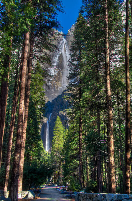 America Poster featuring the photograph Upper and Lower Yosemite Falls by Connie Cooper-Edwards