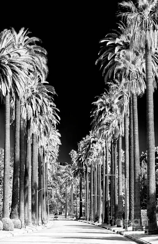 Beverly Hills Poster featuring the photograph Beverly Hills California by John Rizzuto