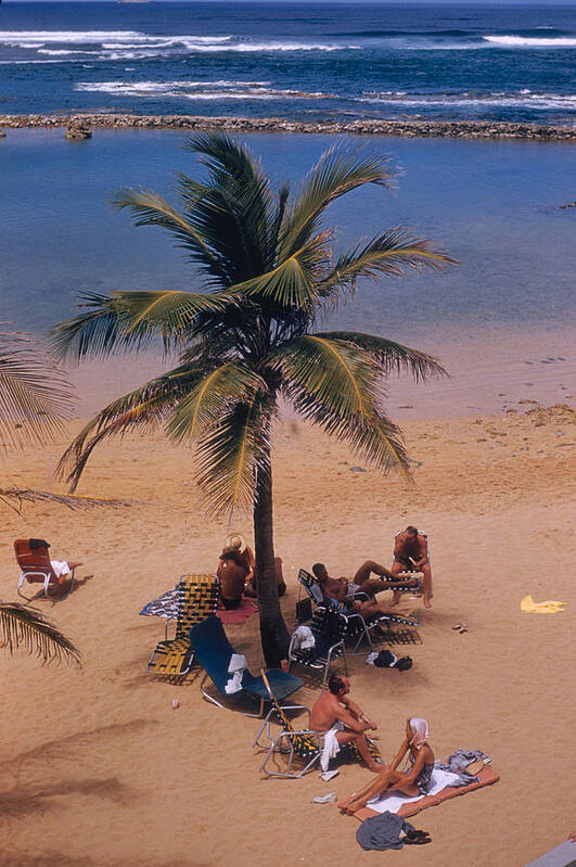 People Poster featuring the photograph Caribe Hilton Beach by Slim Aarons
