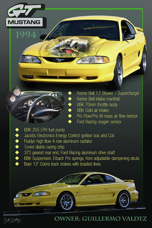 1994 Poster featuring the photograph Mustang Storyboard by Bill Dutting
