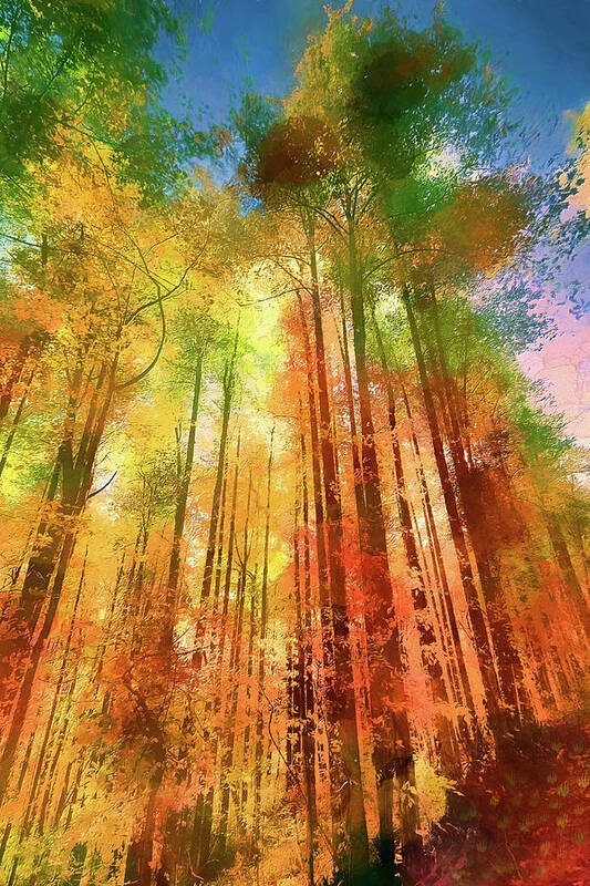 Autumn Poster featuring the painting Tall Autumn Trees ap by Dan Carmichael