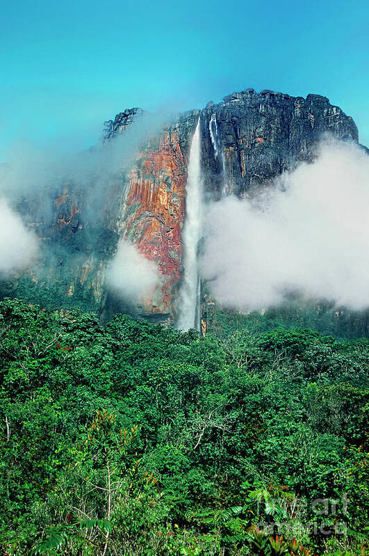 Dave Welling Poster featuring the photograph The Jungle Surrounds Angel Falls And Tropical Rainforest Canaima Np Venezuela by Dave Welling