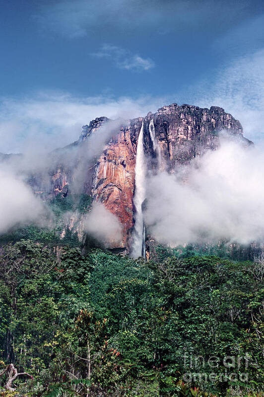 Dave Welling Poster featuring the photograph Angel Falls In Mist Canaima National Park Venezuela by Dave Welling