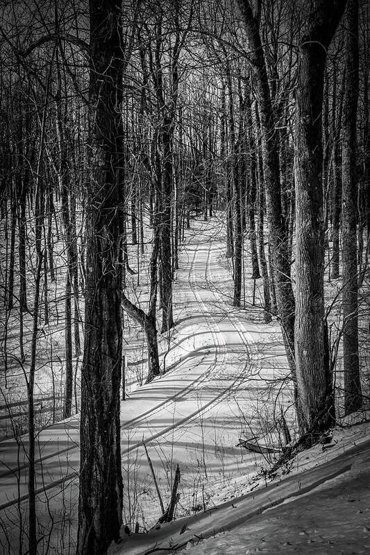 Blue Ridge Mountains Poster featuring the photograph Black and White Tracks in the Woods by Deb Beausoleil
