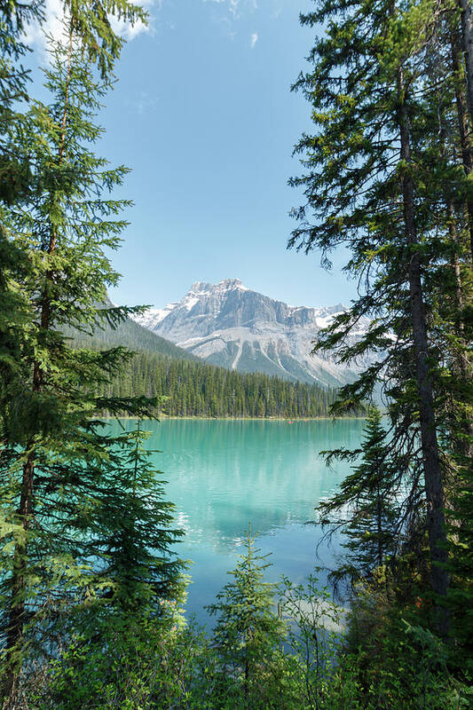 Beauty Poster featuring the photograph Looking through trees at Emerald Lake by Rick Deacon