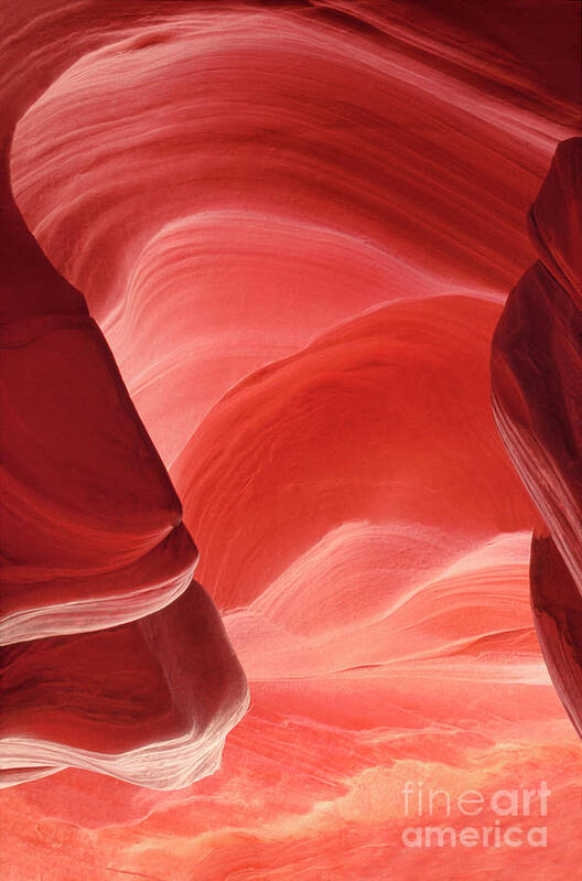 Dave Welling Poster featuring the photograph Pink Sandstone Detail Lower Antelope Slot Canyon Arizona by Dave Welling