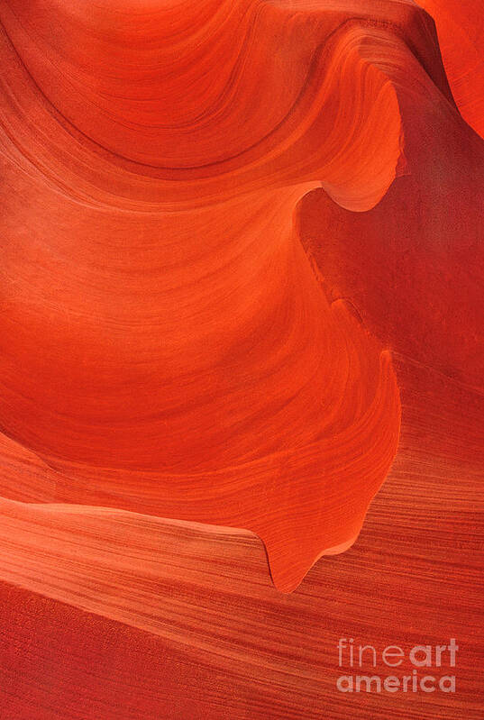 Dave Welling Poster featuring the photograph Upper Antelope Slot Canyon Detail by Dave Welling