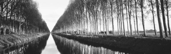 Photography Poster featuring the photograph Belgium, Tree Lined Waterway #1 by Panoramic Images