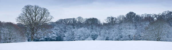 Photography Poster featuring the photograph Hampstead Heath In Winter, North #2 by Panoramic Images