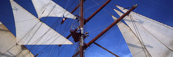Photography Poster featuring the photograph Rigging Of A Tall Ship, Finistere #2 by Panoramic Images