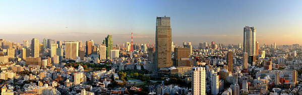 Tokyo Tower Poster featuring the photograph Tokyo Panorama #3 by Vladimir Zakharov