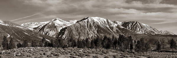 Grassland Poster featuring the photograph Yosemite National Park #8 by Songquan Deng