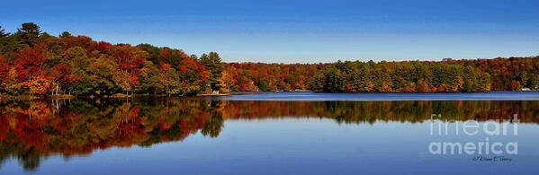 Diane Berry Poster featuring the photograph Adirondack October by Diane E Berry