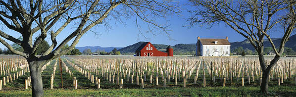 Horizon Poster featuring the photograph Agriculture - A New Red Barn And Home by Randy Vaughn-Dotta