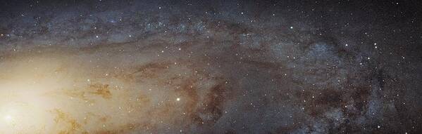 Andromeda Galaxy Poster featuring the photograph Andromeda Galaxy by Nasa, Esa, J. Dalcanton, B.f. Williams, And L.c. Johnson (u. Of Washington), The Panchromatic Hubble Andromeda Treasury (phat) Team, And R. Gendler/science Photo Library