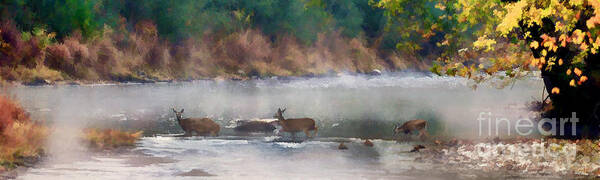 Deer Poster featuring the photograph Deer crossing stream panoramic by Dan Friend