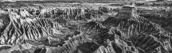 Desert Poster featuring the photograph Desert Panorama by Jess Kraft