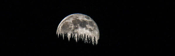 Moon Poster featuring the photograph Harvest Moon by Kevin Dietrich