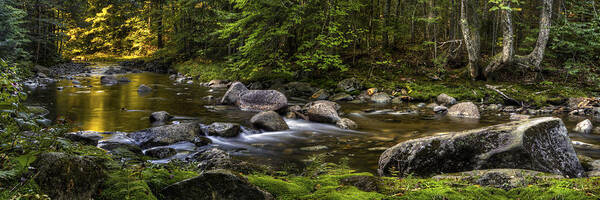 New Hampshire Poster featuring the photograph Hubbard Brook Panorama by White Mountain Images