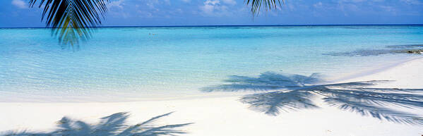 Photography Poster featuring the photograph Laguna Maldives by Panoramic Images