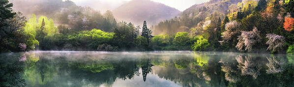 Misty Poster featuring the photograph Morning Calm by Tiger Seo