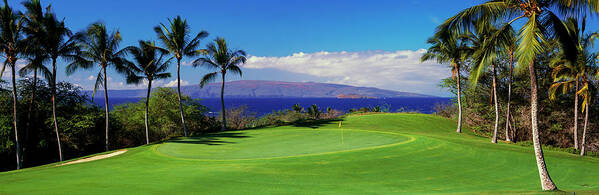 Photography Poster featuring the photograph Palm Trees In A Golf Course, Wailea by Panoramic Images