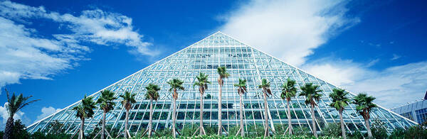 Photography Poster featuring the photograph Pyramid, Moody Gardens, Galveston by Panoramic Images