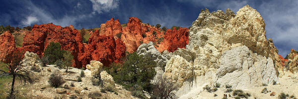Landscape Poster featuring the photograph Red Rock Canyon by James Eddy