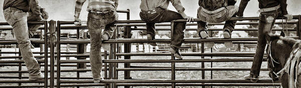 Rodeo Poster featuring the photograph Rodeo Fence Sitters- Sepia by Priscilla Burgers