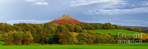  Poster featuring the photograph Roseberry Topping Yorkshire Moors by Martyn Arnold