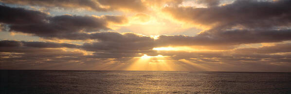 Photography Poster featuring the photograph Sunset Sub Antarctic Australia by Panoramic Images