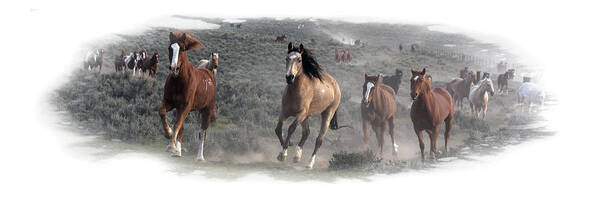 Horse Poster featuring the photograph The Herd is Coming by Judy Deist