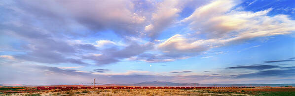 Photography Poster featuring the photograph Train Passing Through A Desert, New by Panoramic Images