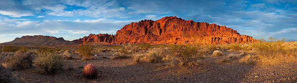  Arid Poster featuring the photograph Valley of Fire by Darren Bradley