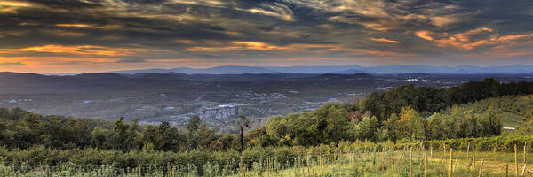 Carters Mountain Poster featuring the photograph View From Carters Mountain by Tim Wilson