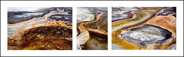 Triptych Poster featuring the photograph Yellowstone Triptych by Geraldine Alexander