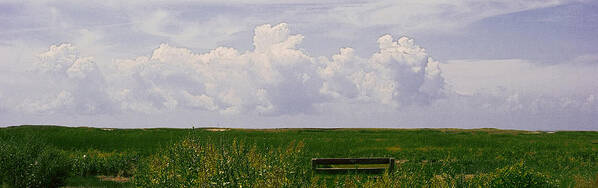 Landscape Poster featuring the photograph Cape Marsh by Michael Friedman