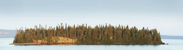 Tree Poster featuring the photograph Trees Covering An Island On Lake by Susan Dykstra
