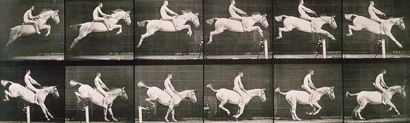 Muybridge Poster featuring the photograph Man and horse jumping a fence by Eadweard Muybridge