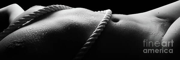 Black And White Huge Boobs - Female Nude Laying Horizontally with Large Breasts and Rope in Black White  - 3039BW Poster by Cee Cee - Nude Fine Arts - Fine Art America